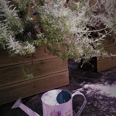 Mulberry Lejlighed *